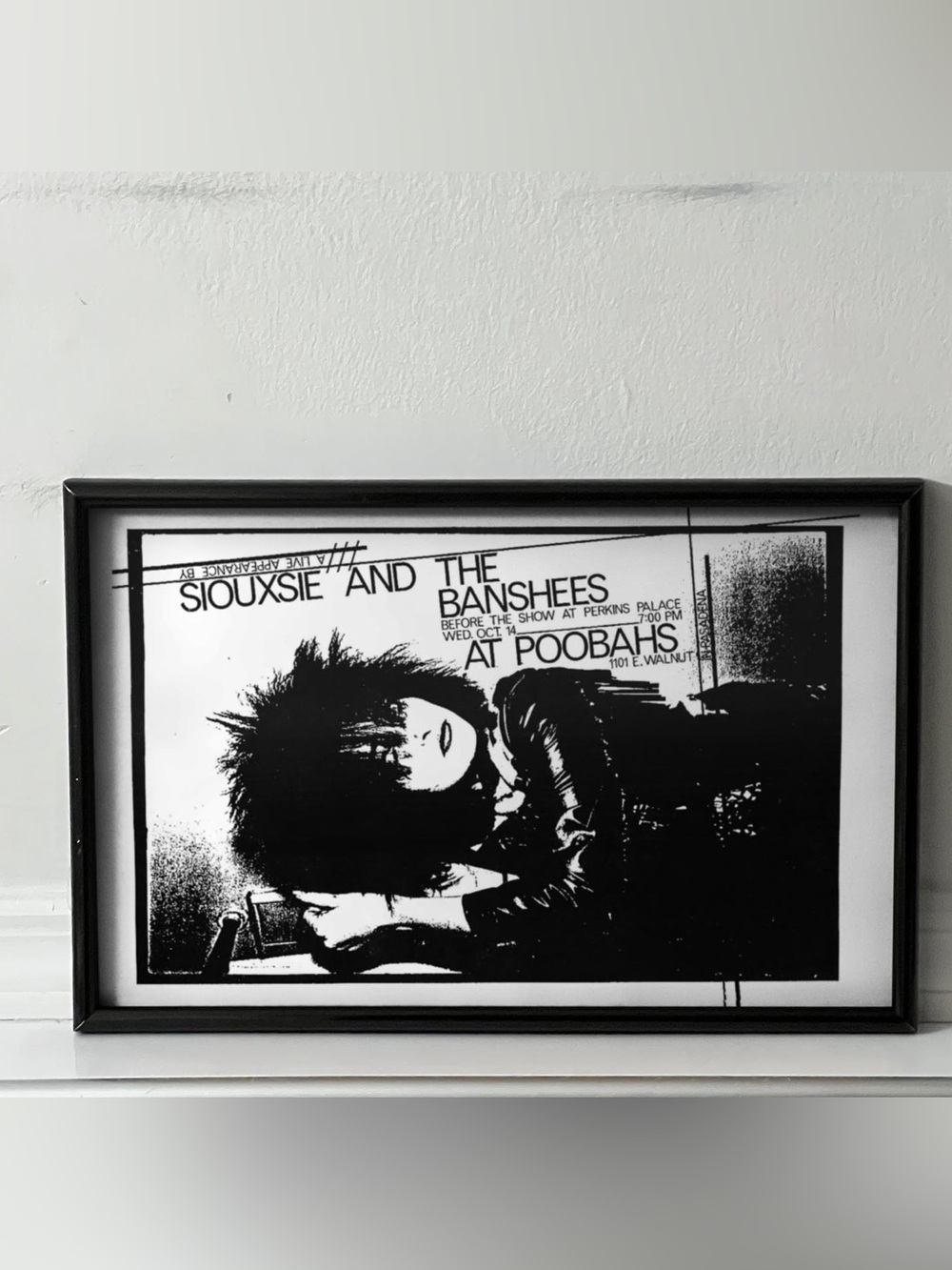 Siouxsie Sioux And The Banshees Poster